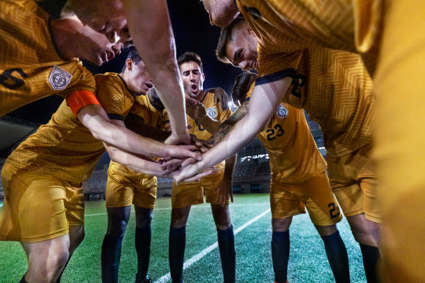 里尼奥在这 里尼奥在这